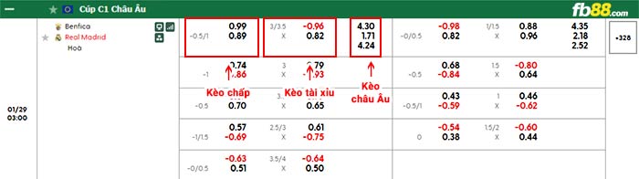 fb88-bảng kèo trận đấu Benfica vs Real Madrid