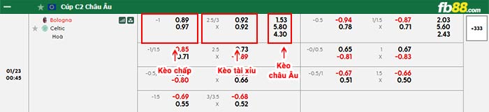fb88-bảng kèo trận đấu Bologna vs Celtic