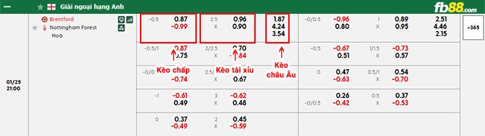 fb88-bảng kèo trận đấu Brentford vs Nottingham
