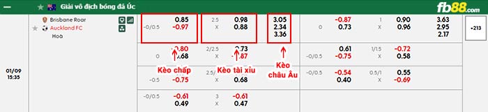 fb88-bảng kèo trận đấu Brisbane Roar vs Auckland