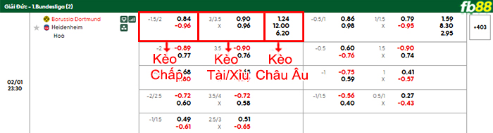fb88-bang-keo-tran-dau-Dortmund-vs-Heidenheim-01-02-2026