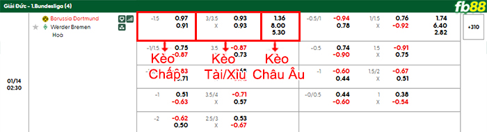 fb88-bang-keo-tran-dau-Dortmund-vs-Werder-Bremen-14-01-2026