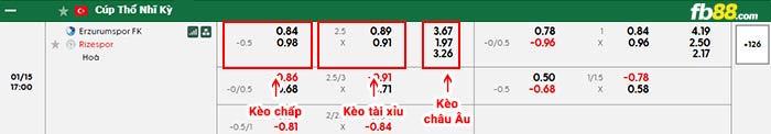 fb88-bảng kèo trận đấu Erzurumspor vs Caykur Rizespor