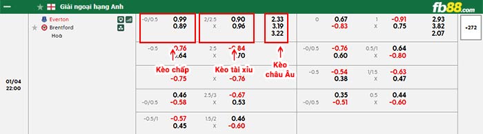 fb88-bảng kèo trận đấu Everton vs Brentford
