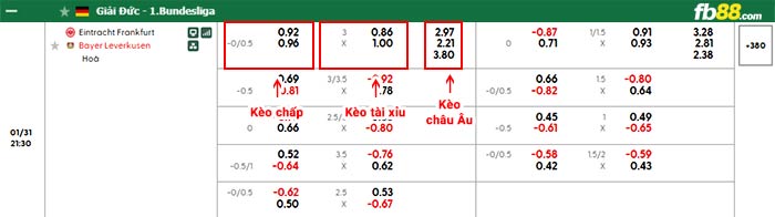 fb88-bảng kèo trận đấu Frankfurt vs Leverkusen