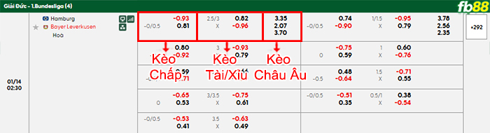 fb88-bang-keo-tran-dau-Hamburger-vs-Leverkusen-14-01-2026