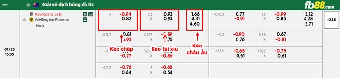fb88-bảng kèo trận đấu Newcastle Jets vs Wellington Phoenix
