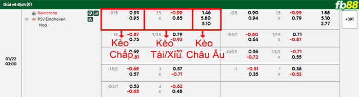 fb88-bang-keo-tran-dau-Newcastle-vs-PSV-22-01-2026