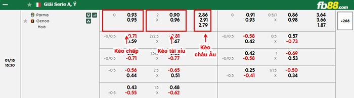 fb88-bảng kèo trận đấu Parma vs Genoa