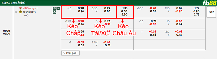 fb88-bang-keo-tran-dau-Stuttgart-vs-Young-Boys-30-01-2026