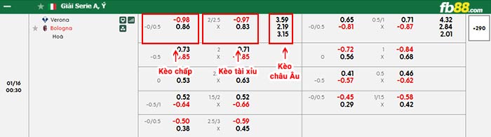 fb88-bảng kèo trận đấu Verona vs Bologna