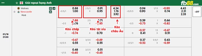fb88-bảng kèo trận đấu Wolves vs Newcastle