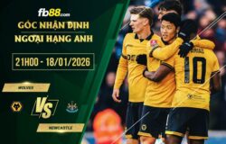 fb88-soi kèo Wolves vs Newcastle