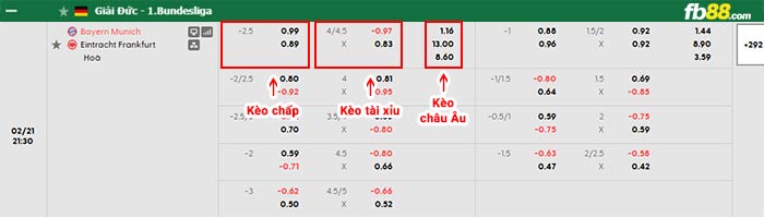 fb88-bảng kèo trận đấu Bayern Munich vs Frankfurt
