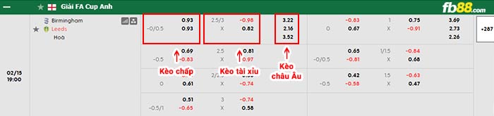 fb88-bảng kèo trận đấu Birmingham City vs Leeds