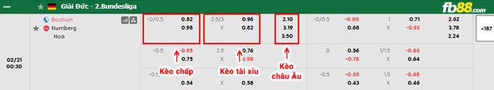 fb88-bảng kèo trận đấu Bochum vs Nurnberg