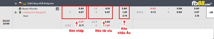fb88-bảng kèo trận đấu Botev Plovdiv vs Ludogorets