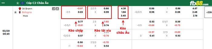 fb88-bảng kèo trận đấu Brann vs Bologna