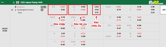 fb88-bảng kèo trận đấu Brighton vs Nottingham