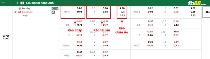 fb88-bảng kèo trận đấu Burnley vs Brentford