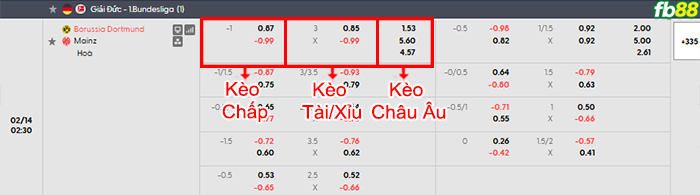 fb88-bang-keo-tran-dau-Dortmund-vs-Mainz-14-02-2026