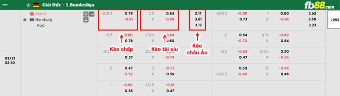 fb88-bảng kèo trận đấu Mainz vs Hamburger