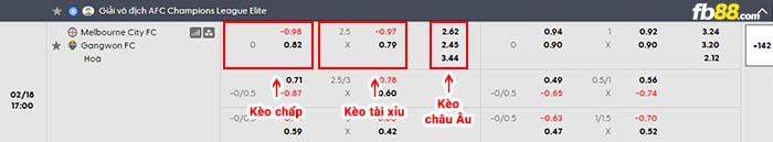 fb88-bảng kèo trận đấu Melbourne City vs Gangwon