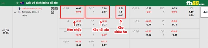 fb88-bảng kèo trận đấu Melbourne Victory vs Adelaide