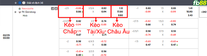 fb88-bang-keo-tran-dau-Newcastle-vs-Qarabag-25-02-2026