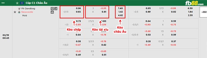 fb88-bảng kèo trận đấu Qarabag vs Newcastle