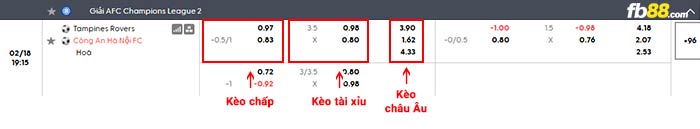 fb88-bảng kèo trận đấu Tampines vs Công an Hà Nội