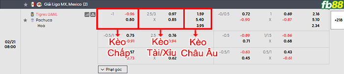 fb88-bang-keo-tran-dau-Tigres-UANL-vs-Pachuca-21-02-2026