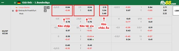 fb88-bảng kèo trận đấu Union Berlin vs Frankfurt