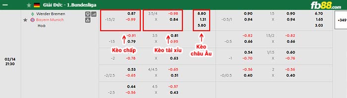 fb88-bảng kèo trận đấu Werder Bremen vs Bayern Munich