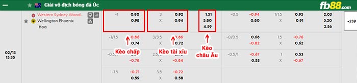 fb88-bảng kèo trận đấu Western Sydney vs Wellington Phoenix
