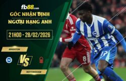 fb88-soi kèo Brighton vs Nottingham