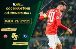 fb88-soi kèo Mainz vs Hamburger