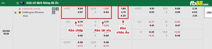fb88-bảng kèo trận đấu Adelaide vs Wellington Phoenix