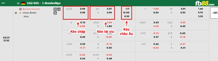 fb88-bảng kèo trận đấu Bayern Munich vs Union Berlin