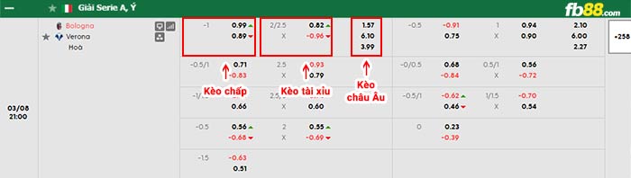 fb88-bảng kèo trận đấu Bologna vs Hellas Verona