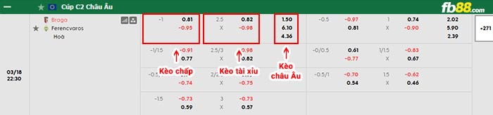 fb88-bảng kèo trận đấu Braga vs Ferencvaros