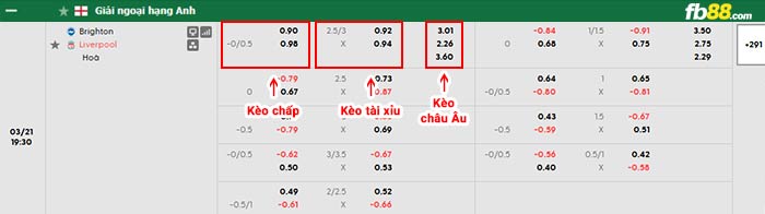 fb88-bảng kèo trận đấu Brighton vs Liverpool