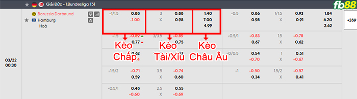 fb88-bang-keo-tran-dau-Dortmund-vs-Hamburger-22-03-2026