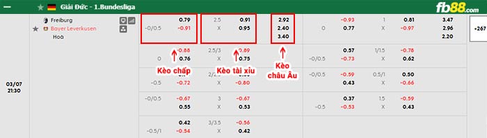 fb88-bảng kèo trận đấu Freiburg vs Leverkusen