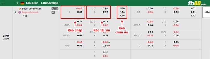 fb88-bảng kèo trận đấu Leverkusen vs Bayern Munich