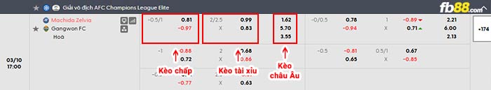 fb88-bảng kèo trận đấu Machida Zelvia vs Gangwon FC