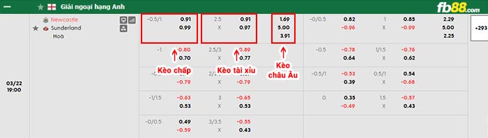 fb88-bảng kèo trận đấu Newcastle vs Sunderland