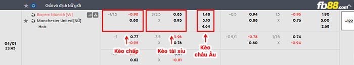 fb88-bảng kèo trận đấu Nữ Bayern Munich vs Nữ Man Utd