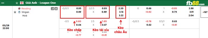 fb88-bảng kèo trận đấu Reading vs Wigan
