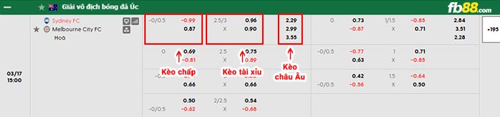 fb88-bảng kèo trận đấu Sydney vs Melbourne City
